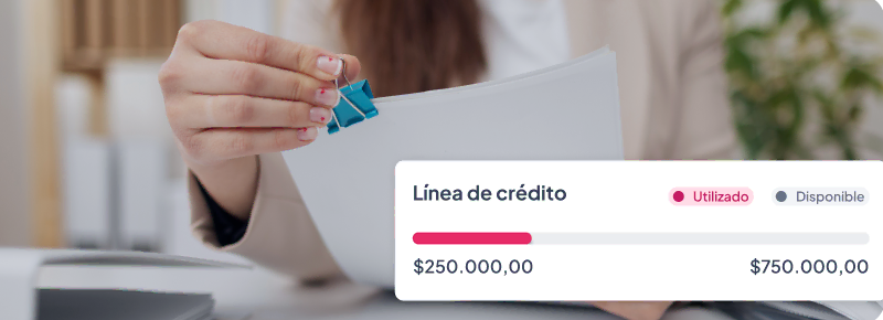 Obtén tu línea de crédito